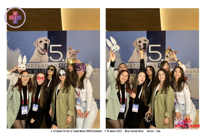 <br />
<b>Notice</b>:  Undefined variable: yazdir in <b>/home/noxetknl/domains/noxetkinlik.com/public_html/hizmet_detay.php</b> on line <b>668</b><br />
<br />
<b>Notice</b>:  Trying to access array offset on value of type null in <b>/home/noxetknl/domains/noxetkinlik.com/public_html/hizmet_detay.php</b> on line <b>668</b><br />
